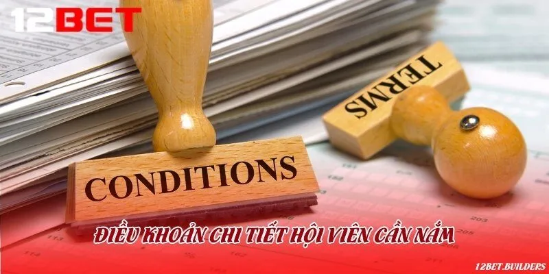 Tổng hợp điều khoản sử dụng