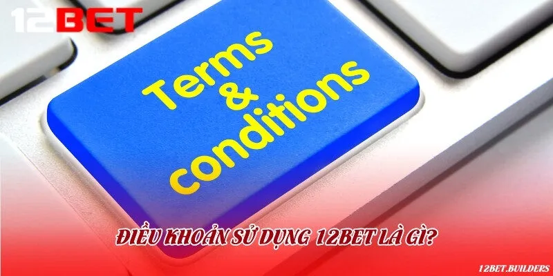 Điều khoản sử dụng được quy định nhằm duy trì sự minh bạch cho nền tảng