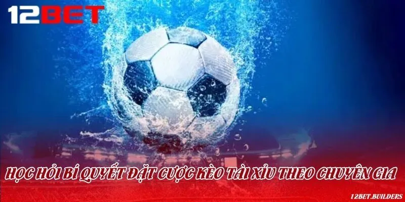 Bí kíp đặt cược kèo tài xỉu độc đáo từ các chuyên gia