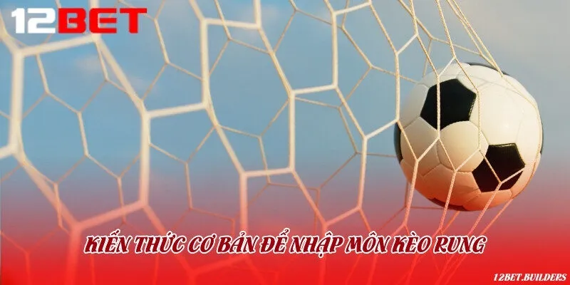 Hướng dẫn từng bước cho người mới chơi kèo rung