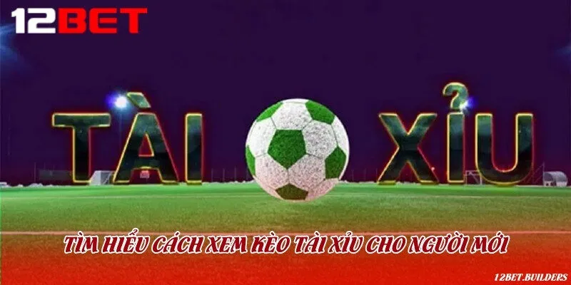 Tổng hợp các loại kèo tài xỉu phổ biến và cách đọc chính xác