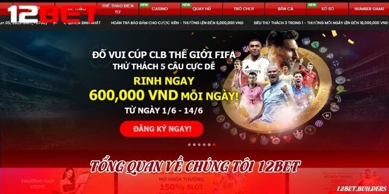 Tổng quan về trang thông tin bóng đá tỷ số hàng đầu Việt Nam