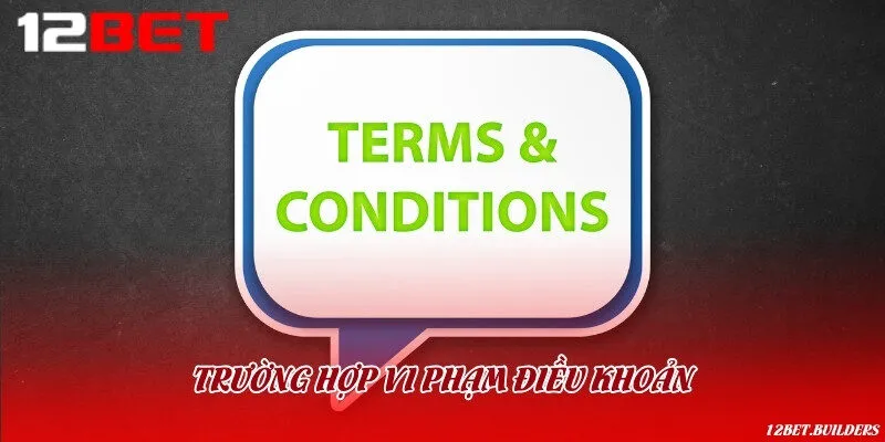 Các trường hợp vi phạm và quy định xử lý chính thức